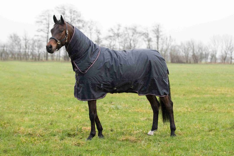Kingsland 0g, Classic Primary Turnout Rug with Detachable Neck