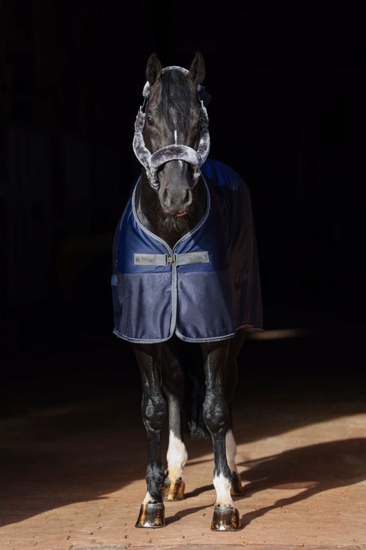 Bucas  Show-Line Competition Cooler