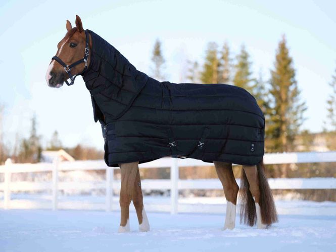 Hovedbilde Kingsland 300g, Classic Primary Stable Rug with ...