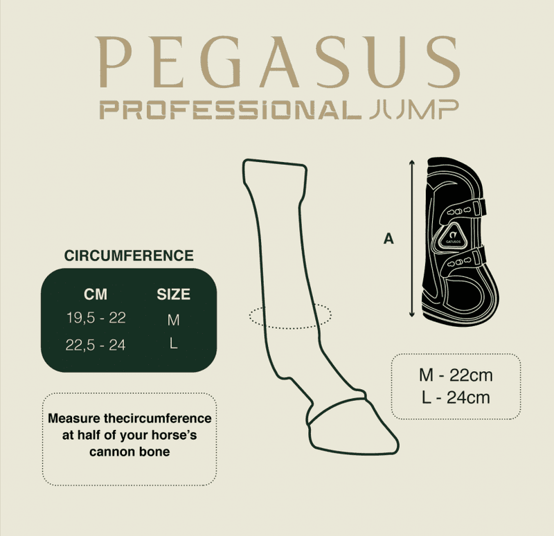 PEGASUS FRONT PROTECTION