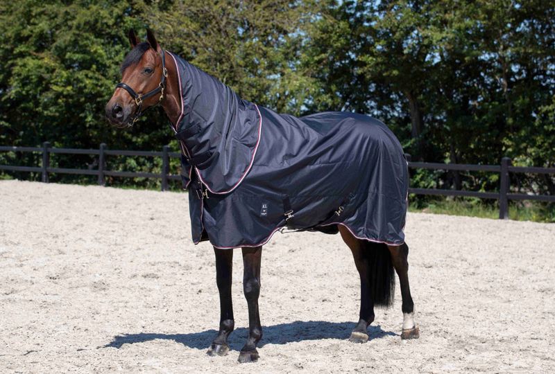 Kingsland 200g, Classic Primary Turnout Rug, Detachable Neck