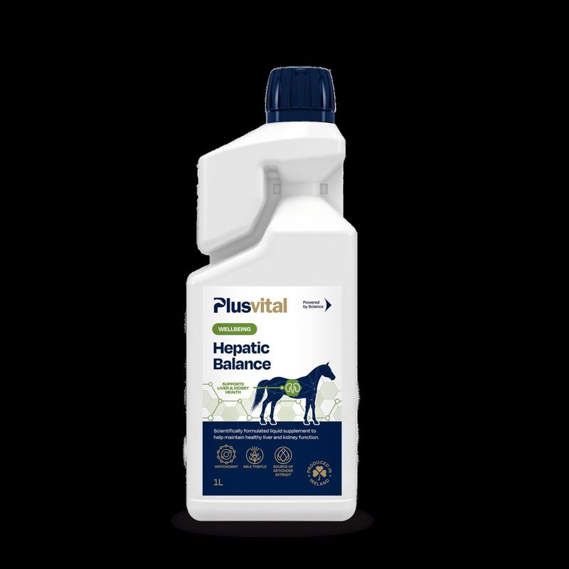 Plusvital Hepatic Balance 1 Liter